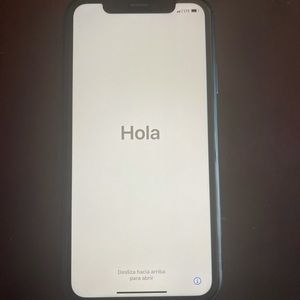 iPhone 10 VERIZON (CDMA) Network